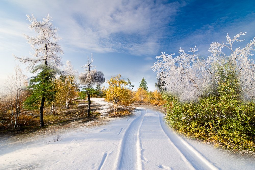 Seasons для дошкольников