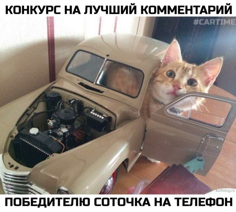 Кошачья машина