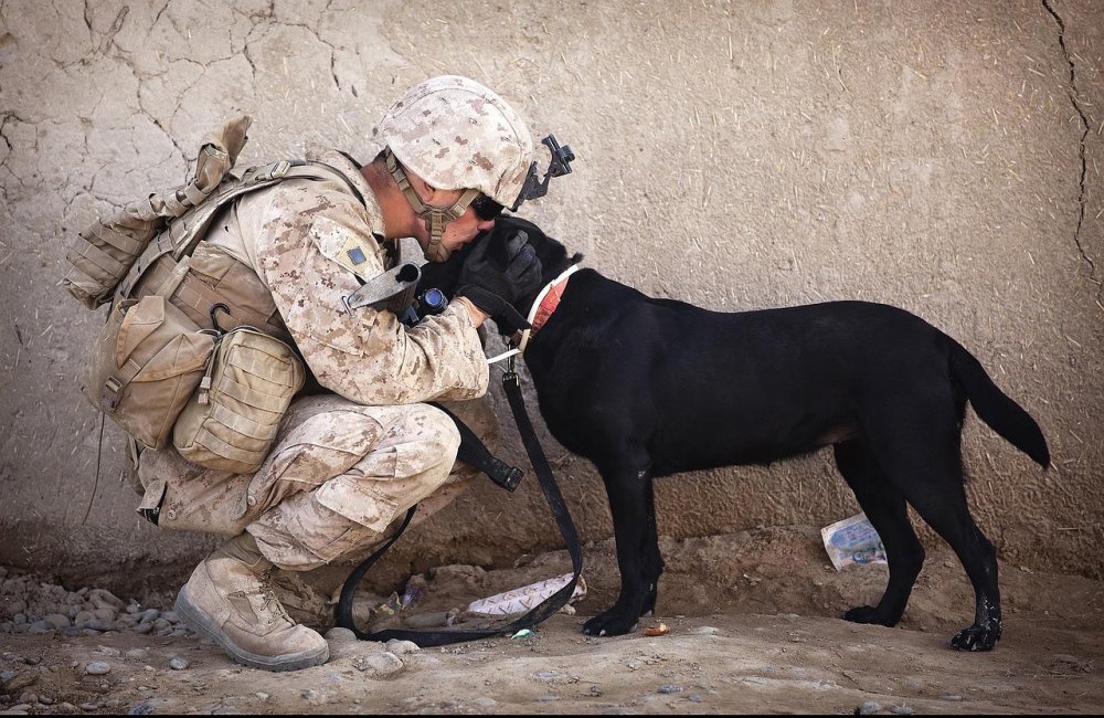 Спецназовец с собакой арт