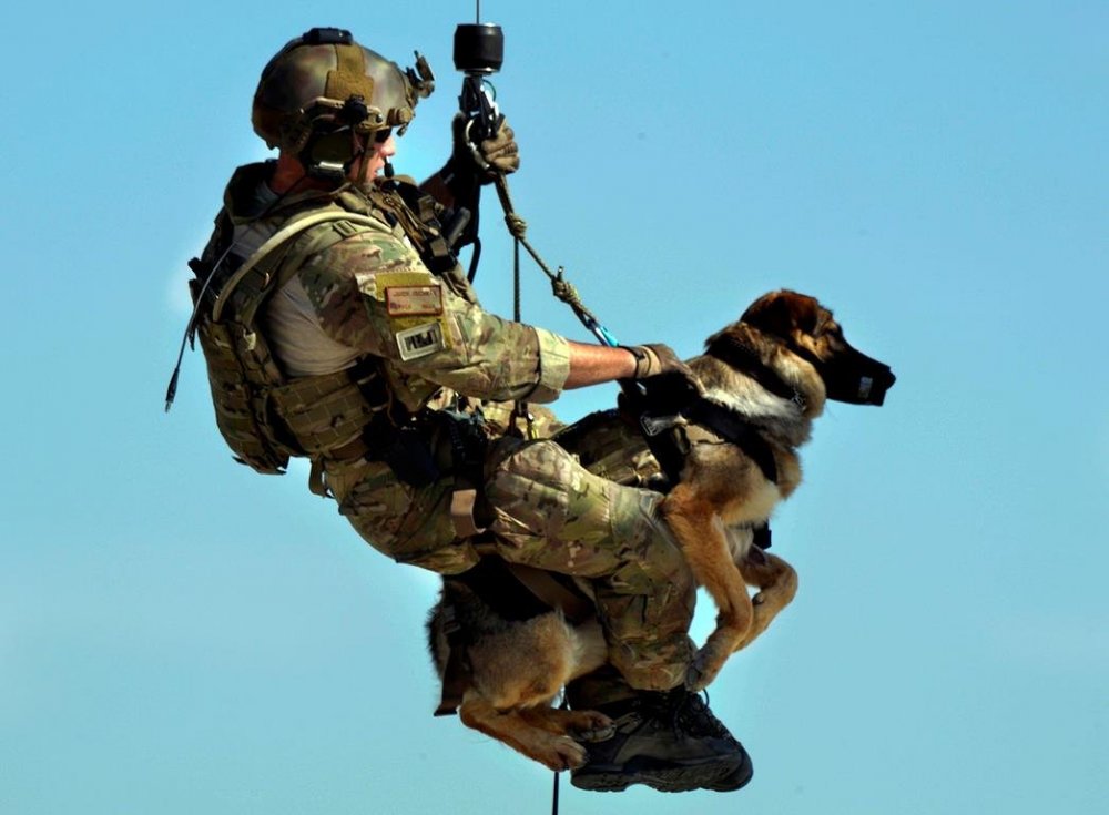 Тренировка военного с собакой