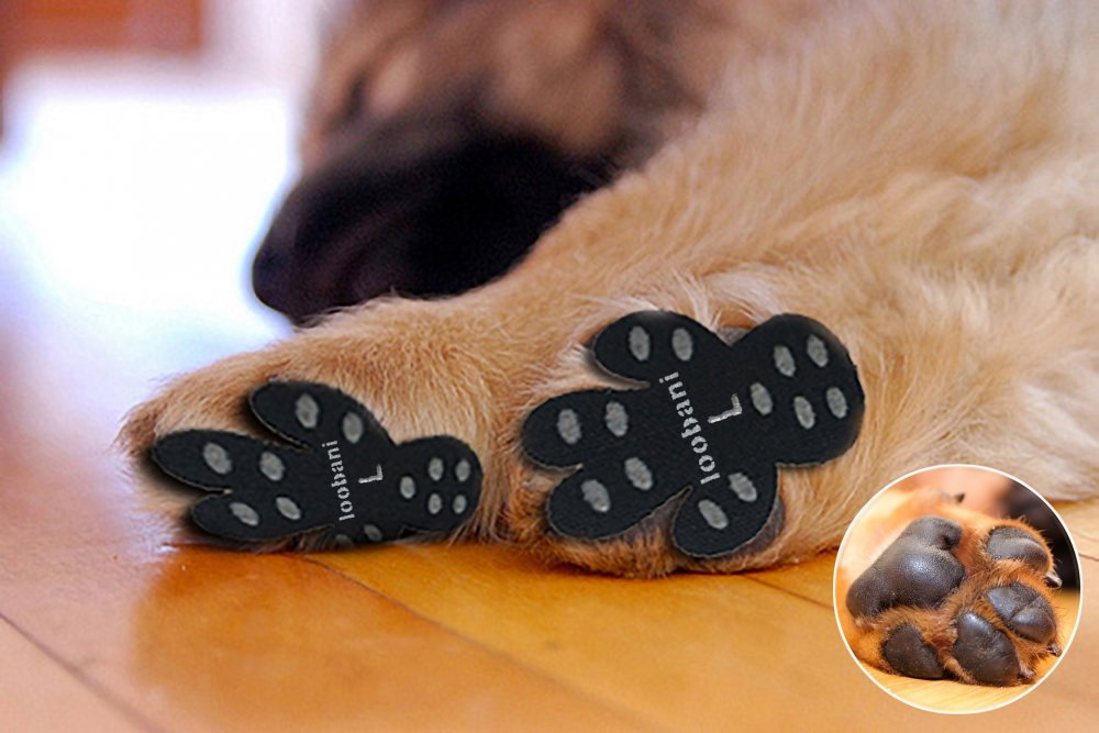 Paw-Pads™ non-Slip