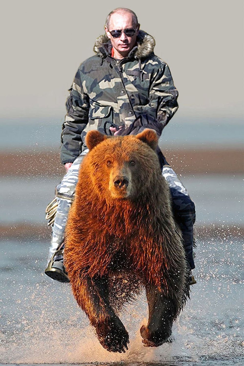 Фото путин на медведе верхом