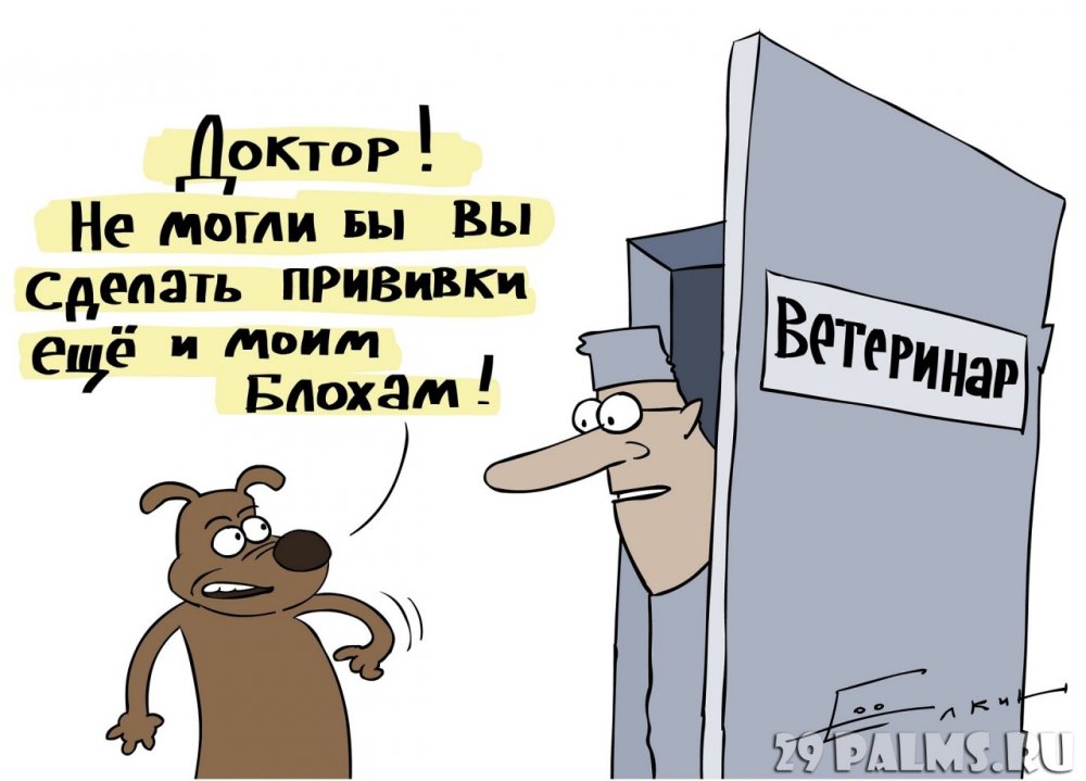 Ветеринар карикатура