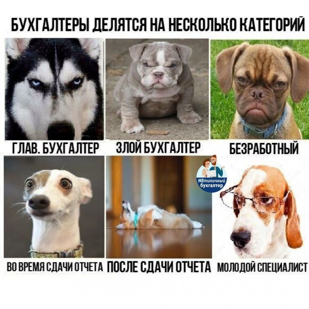 Шутки про бухгалтеров