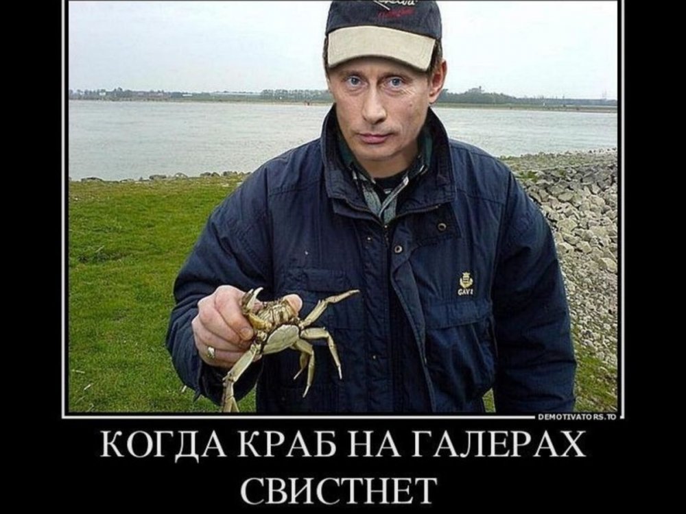 Мем Путин краб на галерах