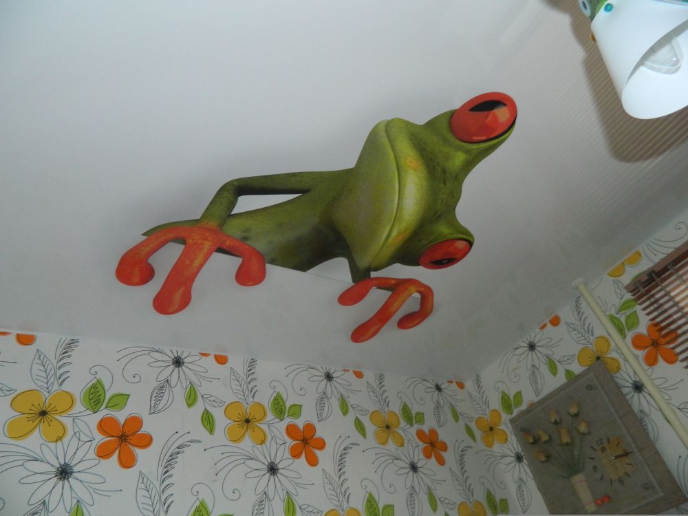 Фотопечать на потолке натяжном лягушка