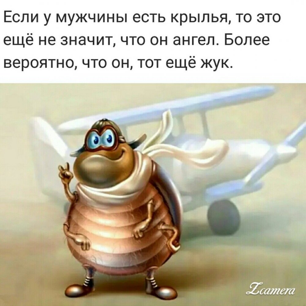 Мужчина тот ещё Жук