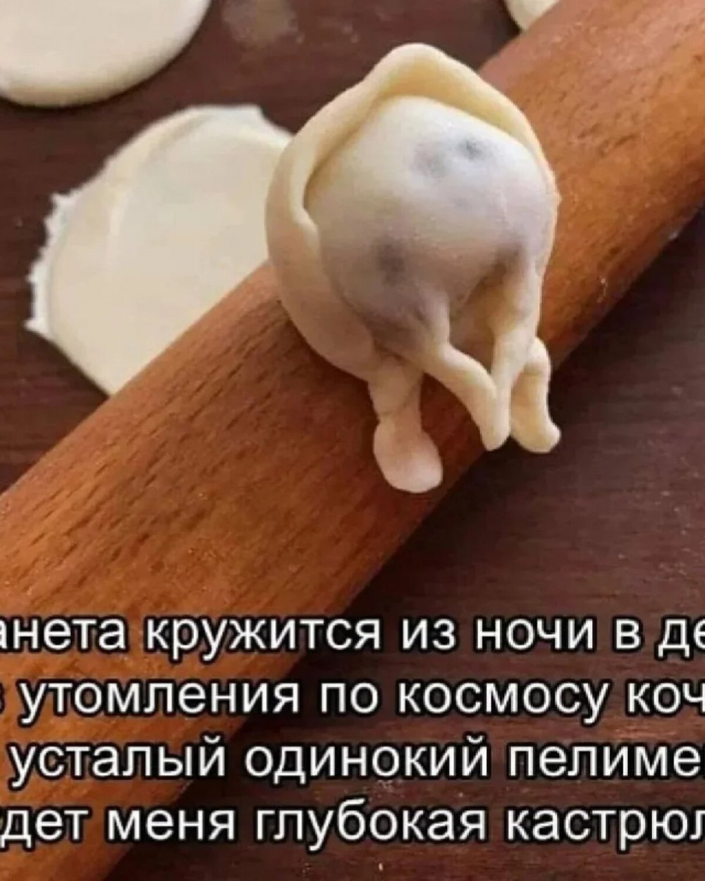 Пельмешка смешная