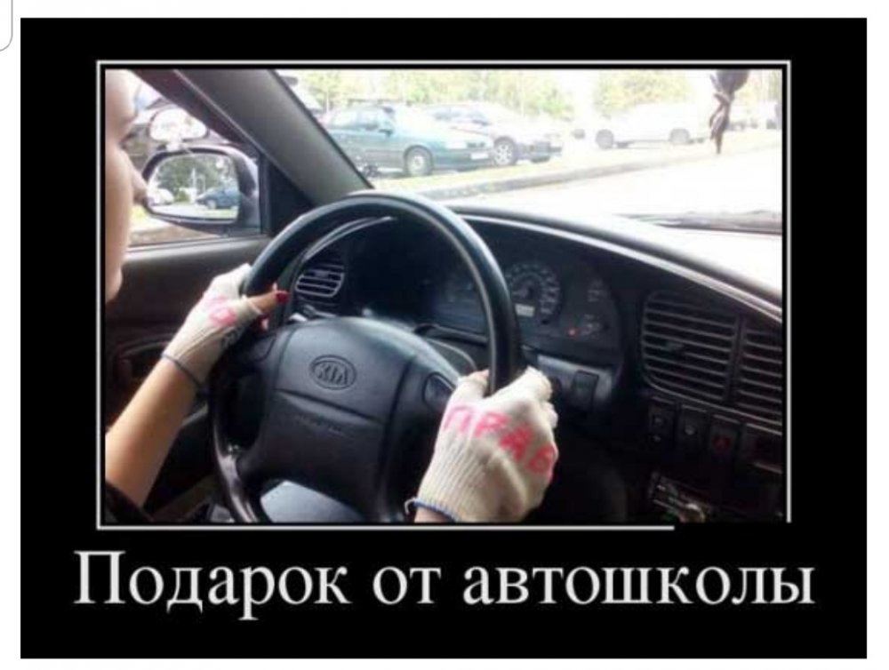 Автошкола приколы