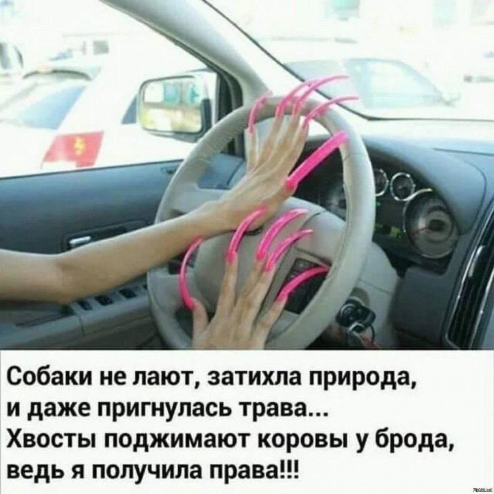 Шутки про вождение автомобиля