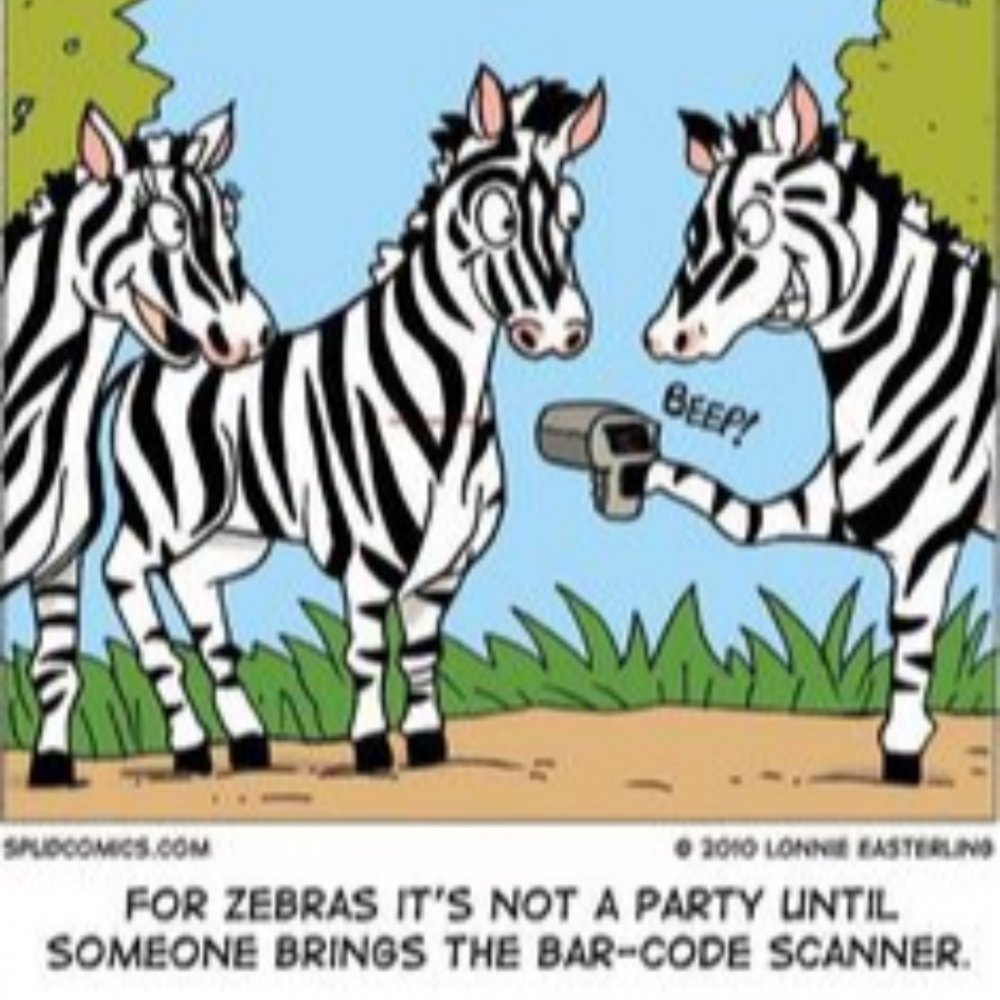 Анекдот про зебру