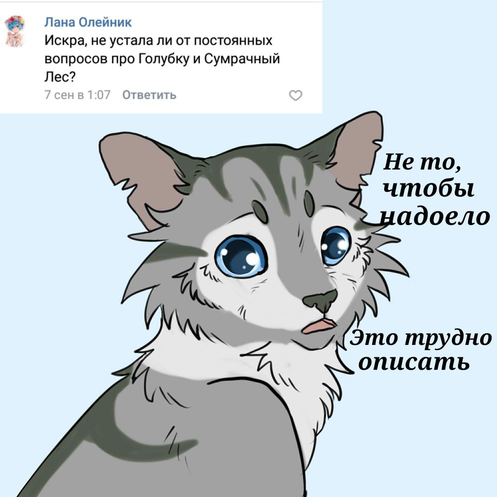 Коты Воители мемы