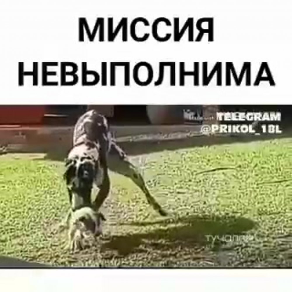 Юджин Китридж миссия невыполнима