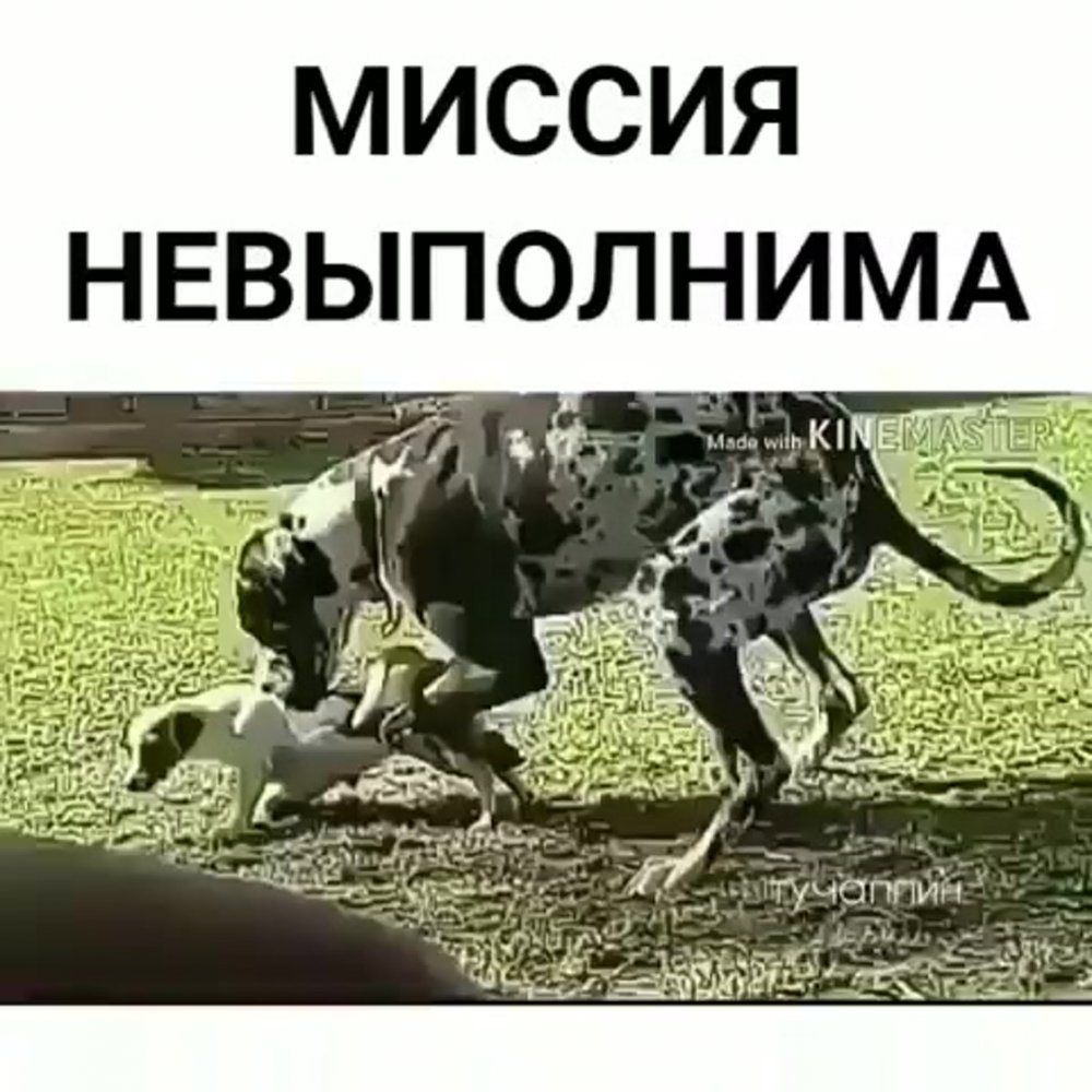 Миссия невыполнима фото приколы