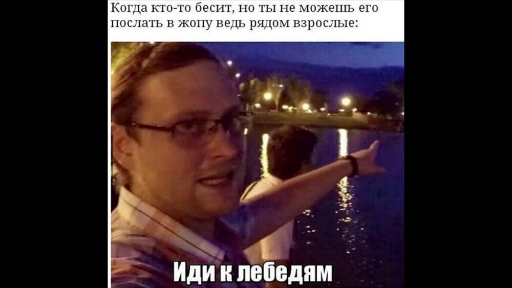 Иди к лебедям