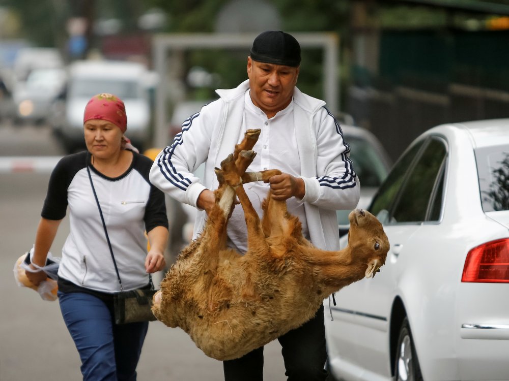 Праздник куйрам байрам