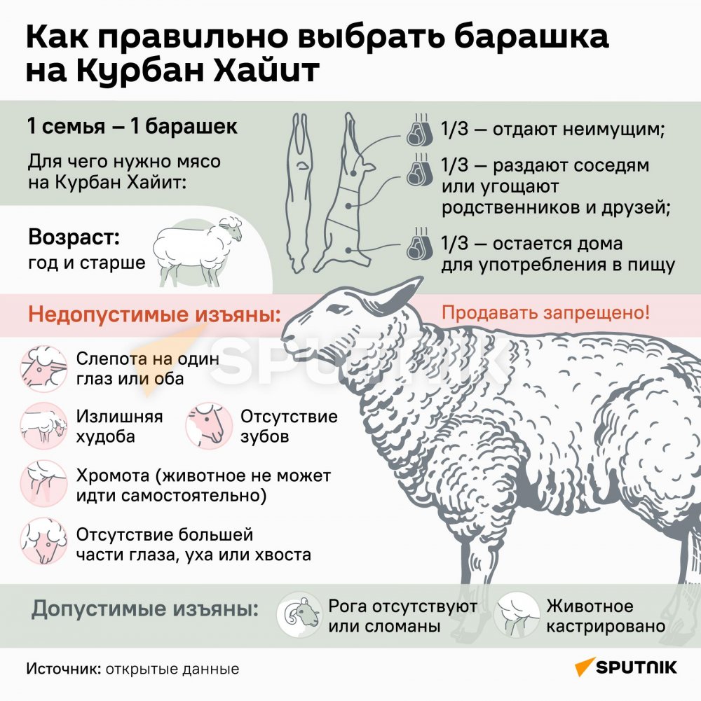 Курбан байрам жертвоприношение