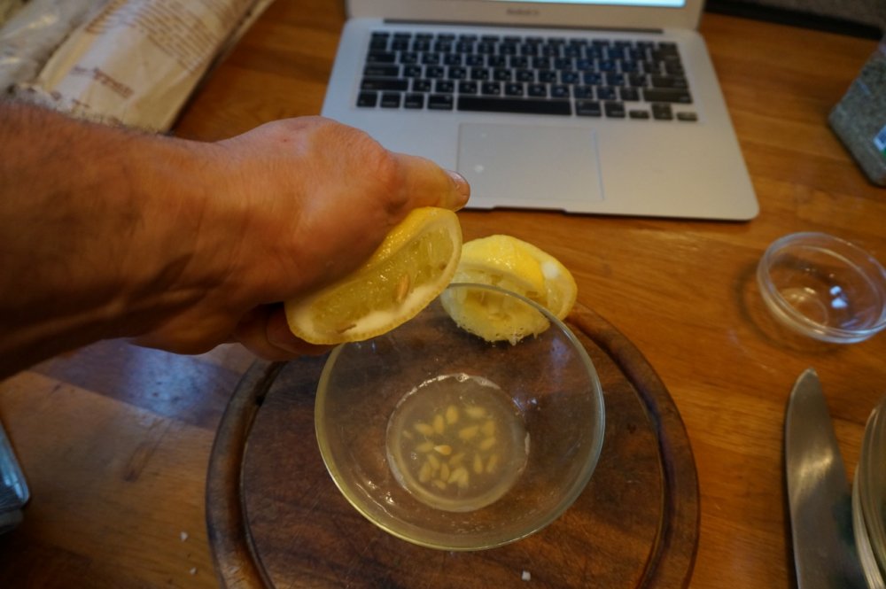 Раздавленный лимон