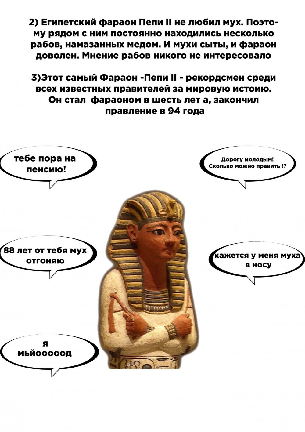 Фараон шутки Египет