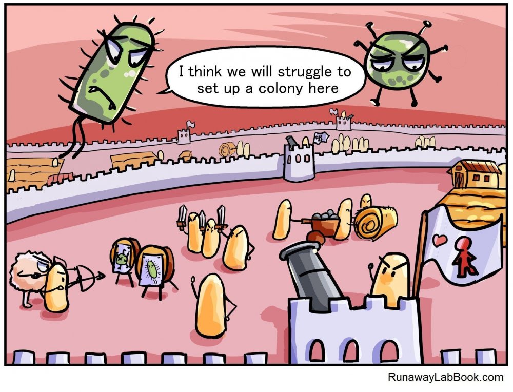 Мемы про бактерии