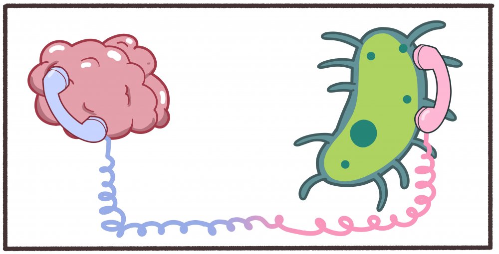 Вредные микроорганизмы в кишечнике