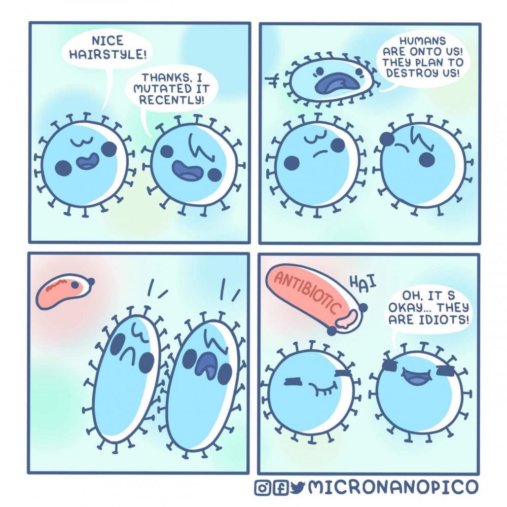 Мемы про бактерии и антибиотики