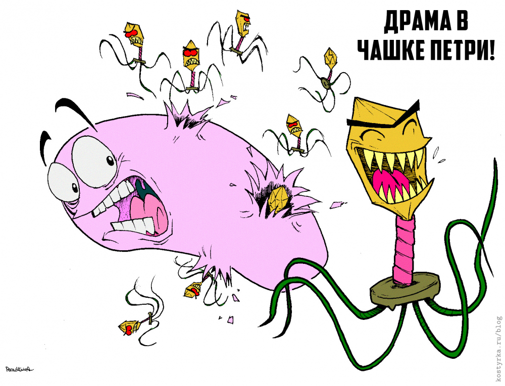 Бактерия карикатура