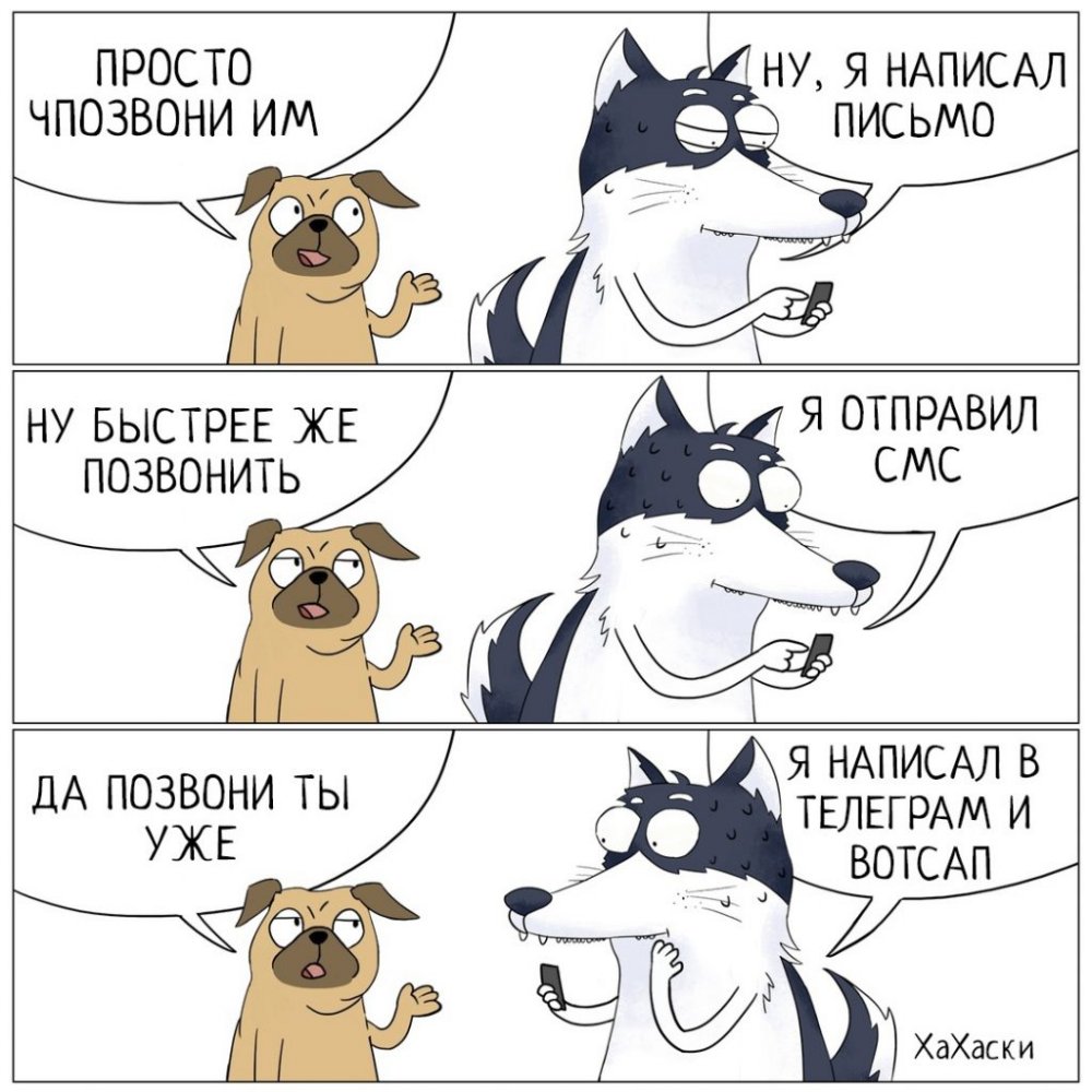 Хаски шутки