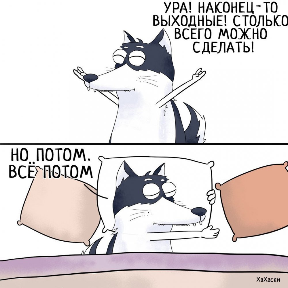 Наконец то выходные