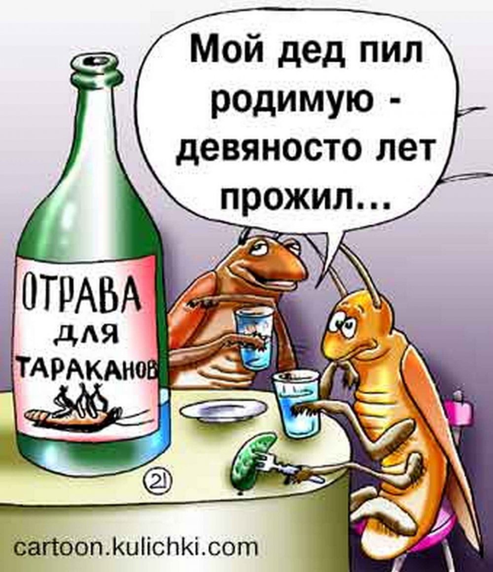 Алкогольные карикатуры