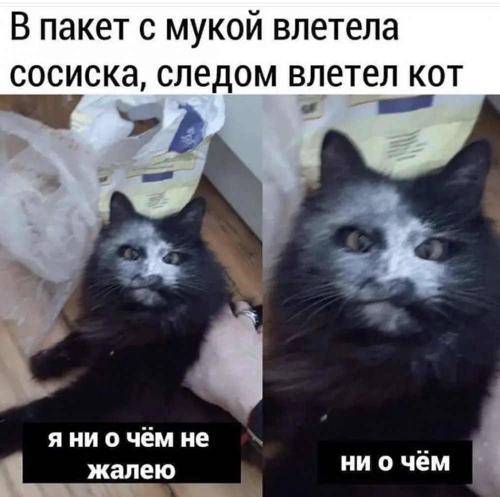 Я ни о чем не жалею Мем