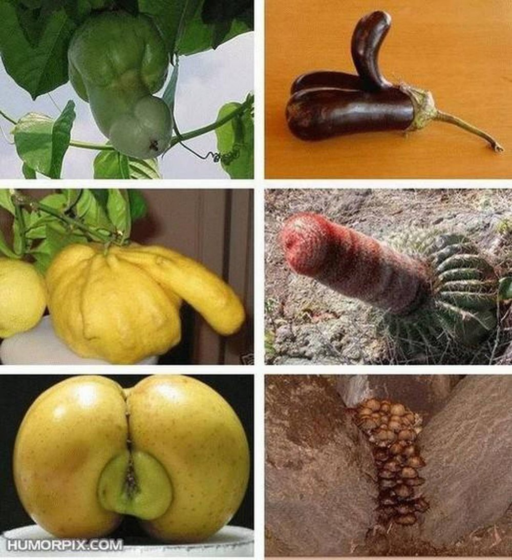 Фрукты и овощи в виде половых органов