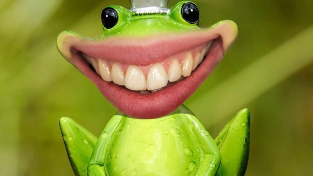 Лягушка улыбается