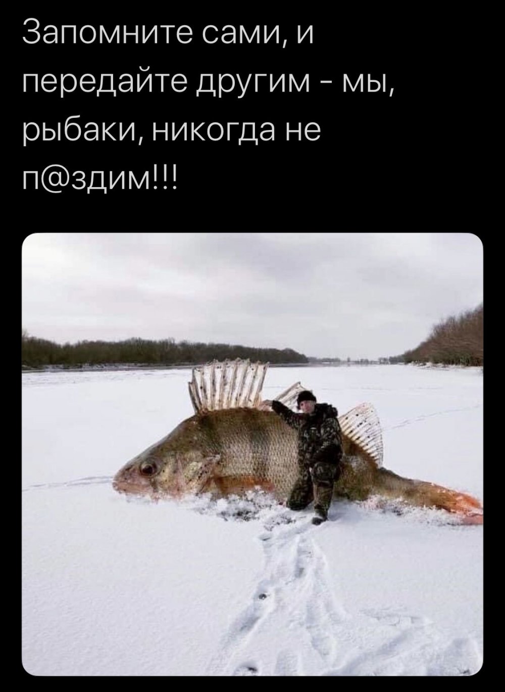 Мы рыбаки никогда не