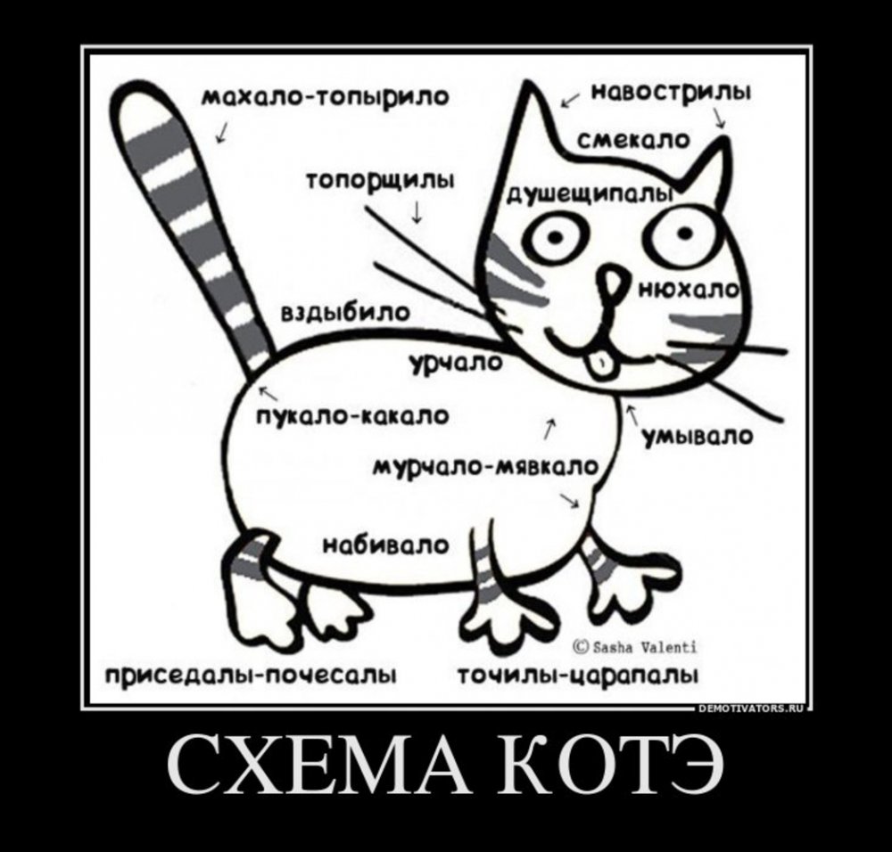 Схема кота