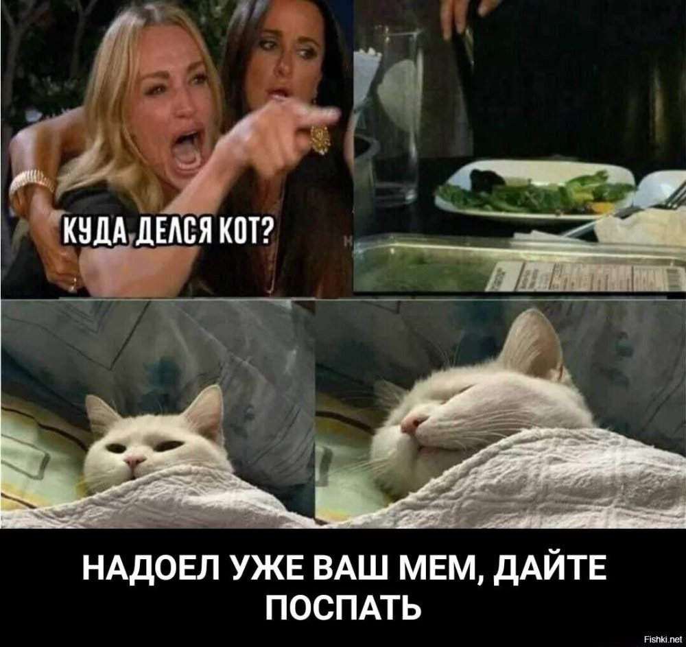 Мемы про кота и двух женщин