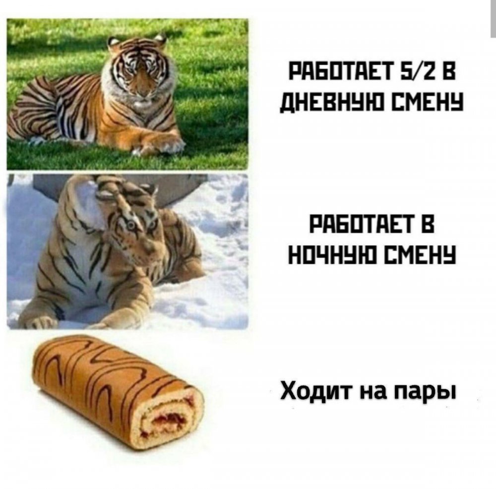 Мем про тигра