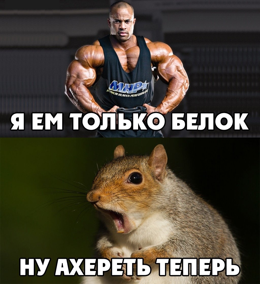 Я ем только белок Мем