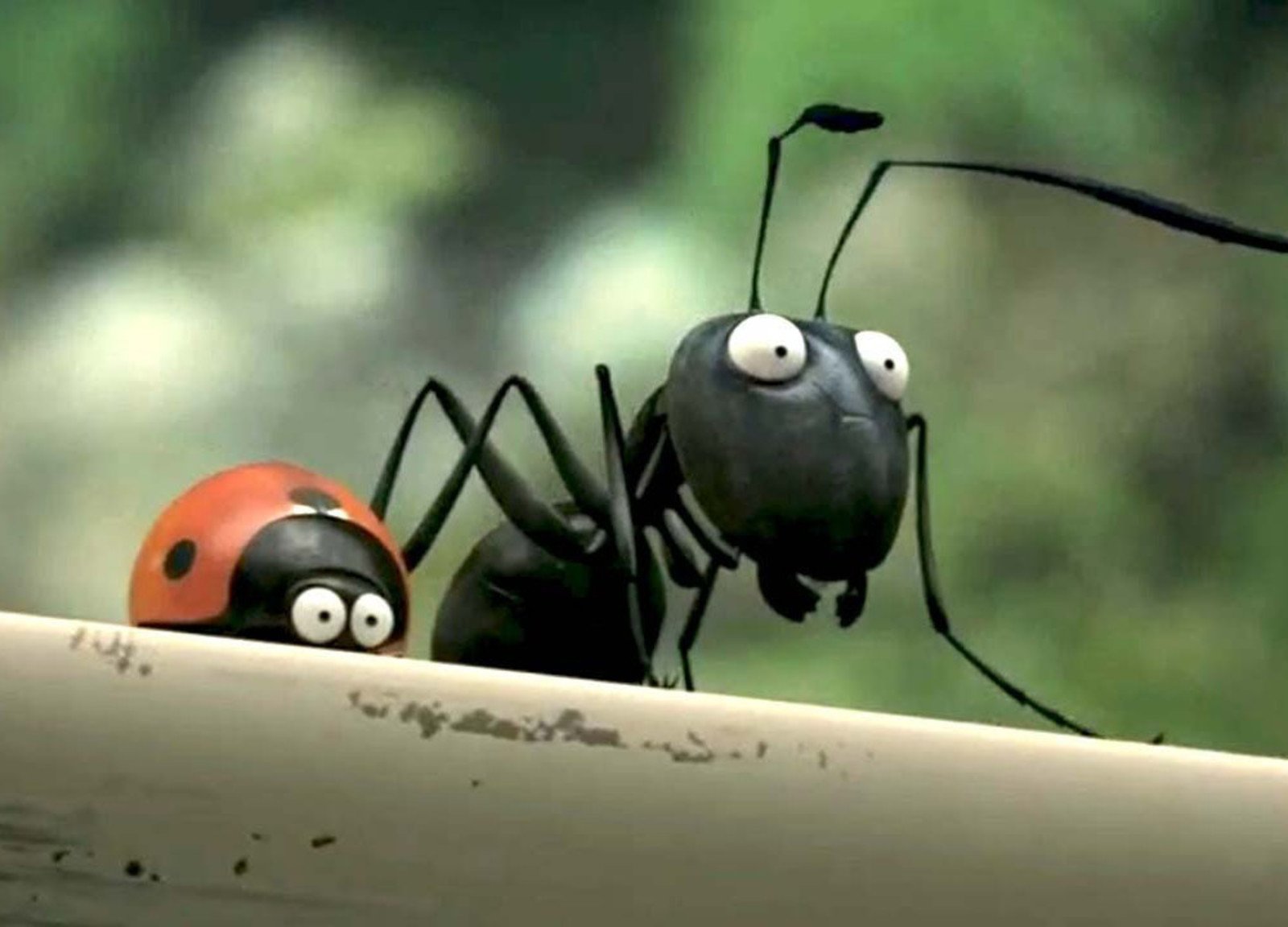 веселые картинки жуков
