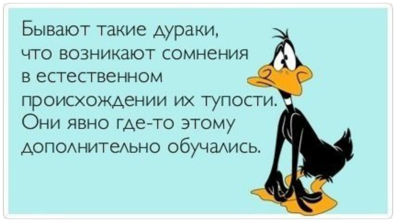 Тем он не может не. ₽сказывания про дураков. Цитаты про дураков. Высказывания о дураках. Главное не победа а участие.