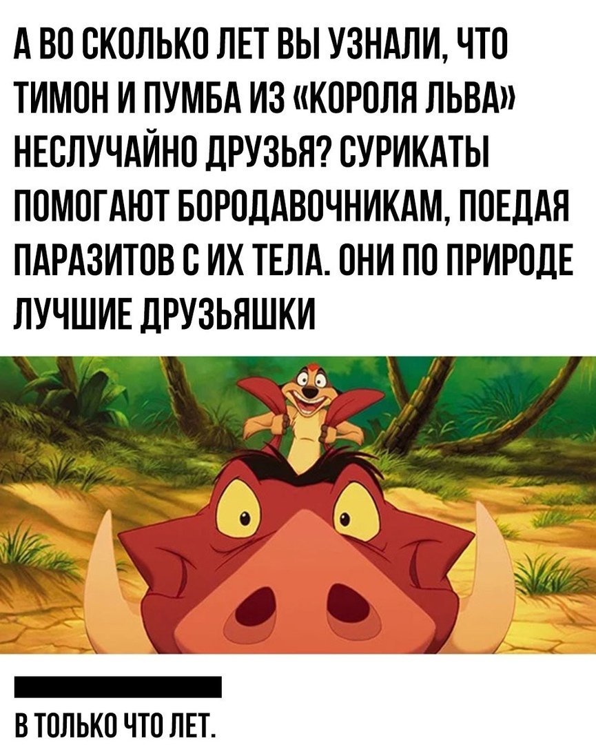 Тимон цитаты