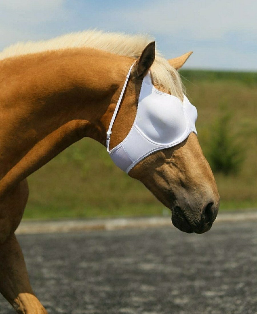 Horse Blinkers