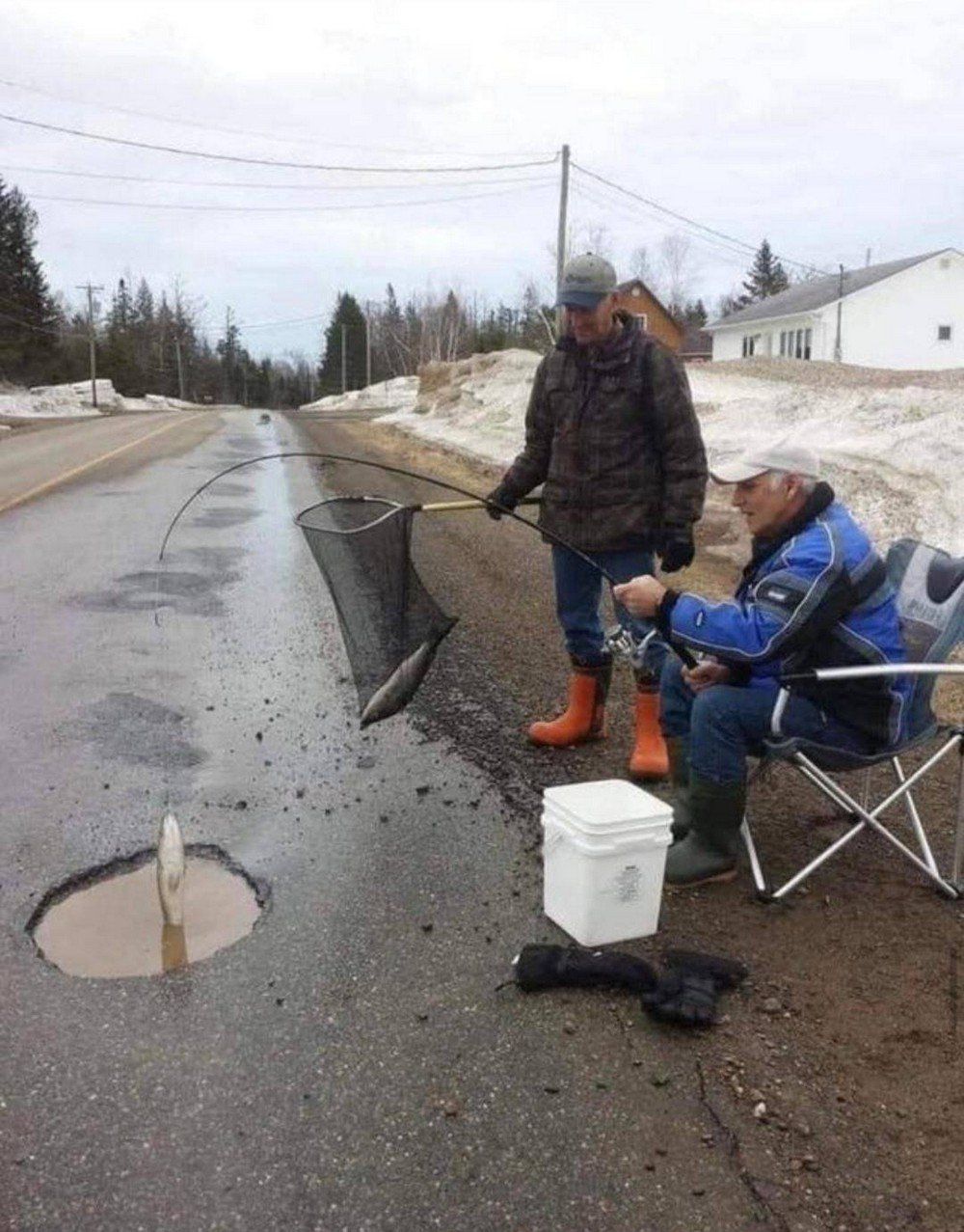 Дураки и дороги приколы