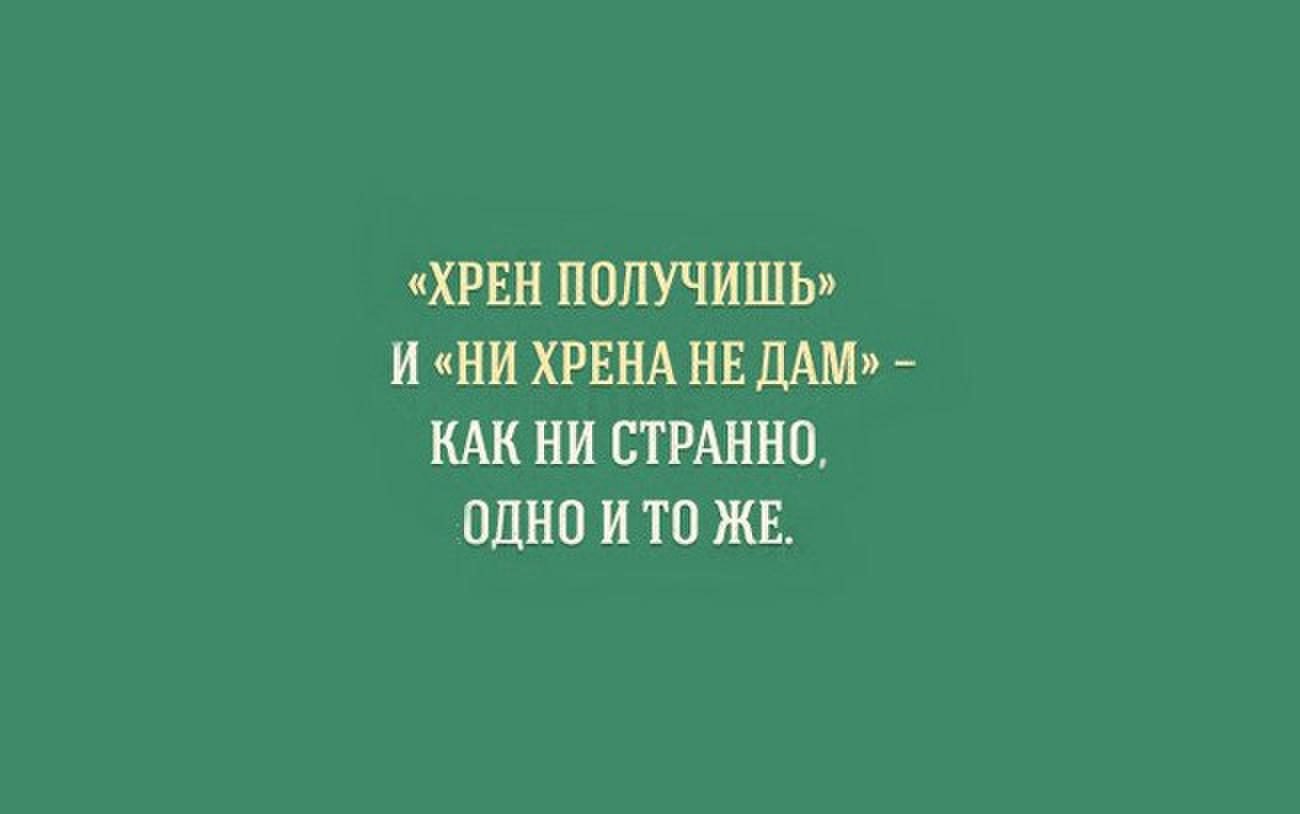 Русский язык понятно. Цитаты учителей смешные. Смешные высказывания про учителей. Смешные фразы про педагогов. Про учителей высказывания прикольные.