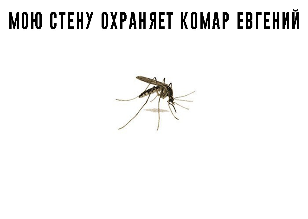 Комары мемы