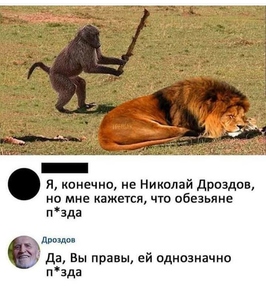 Превосходный юмор