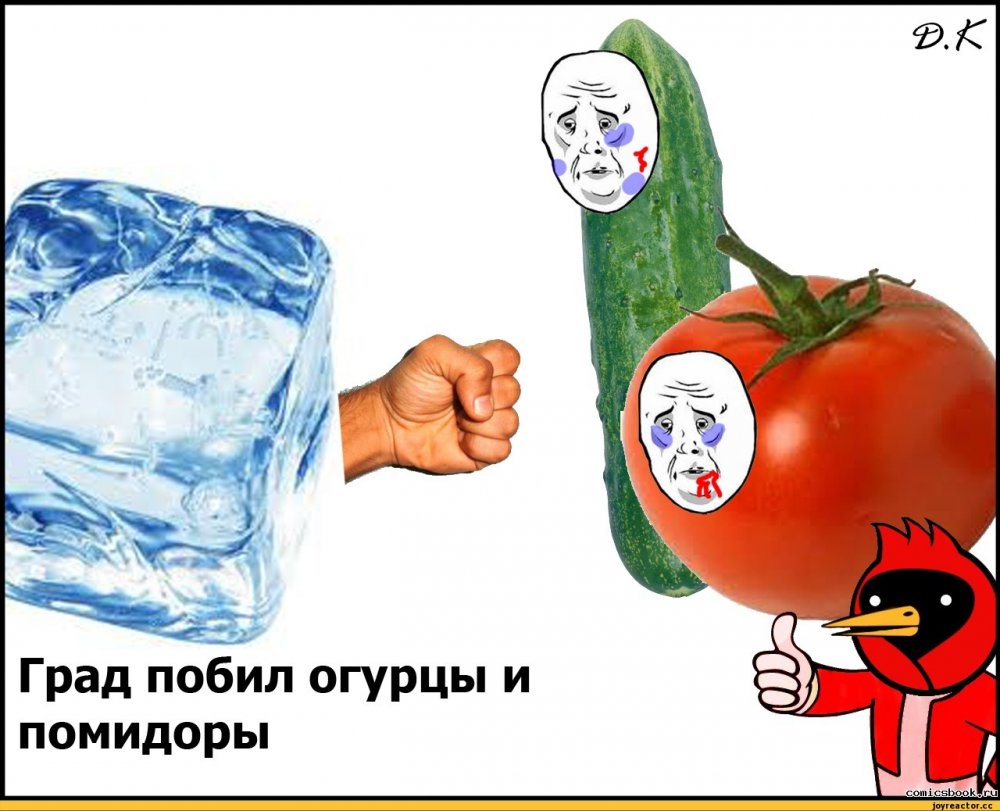 Мемы про огурцы