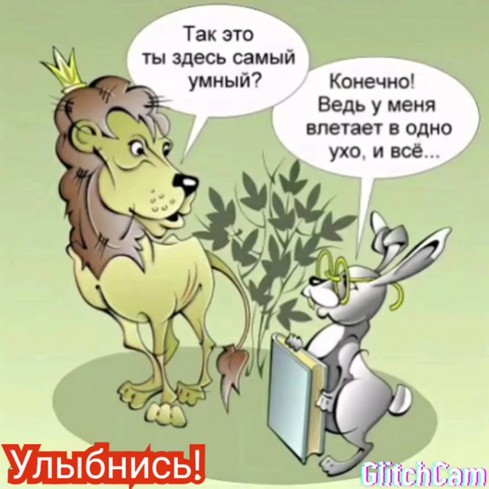 Анекдоты про животных