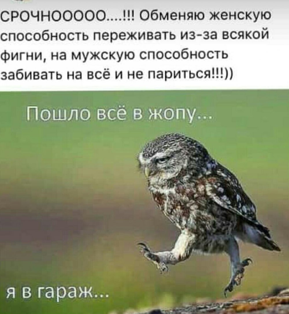 Картинка да пошло все