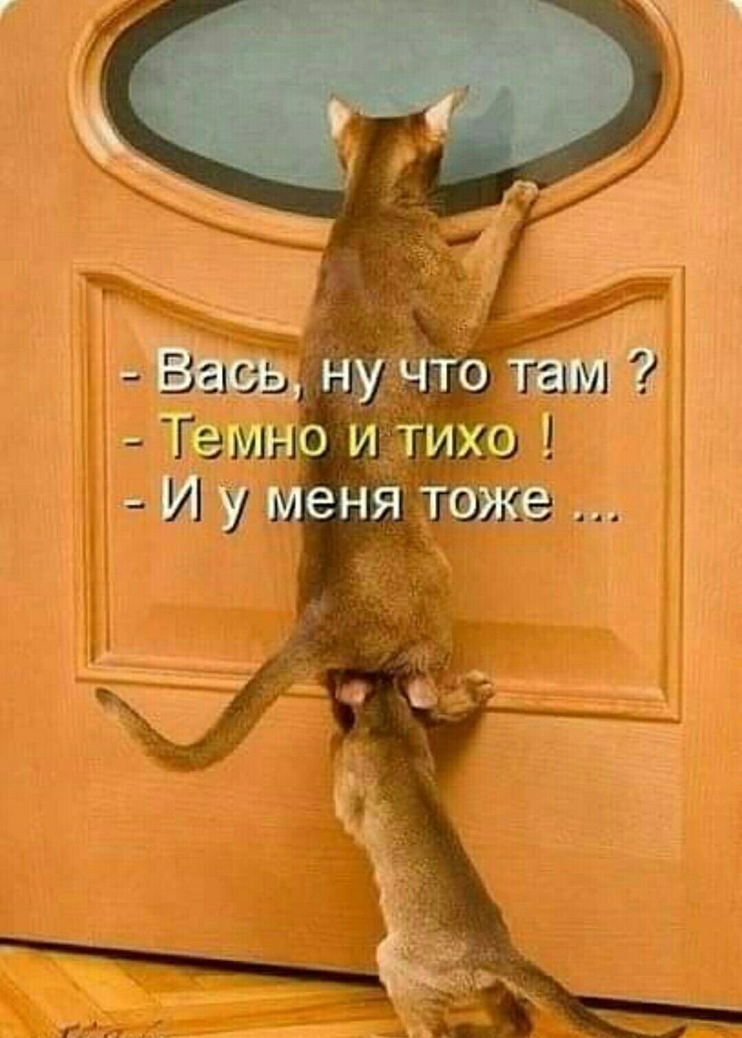 Сила любопытства